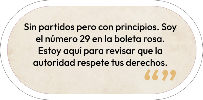 Sin partidos pero con principios. Soy el 29 de la boleta rosa | Roberto Niño de Rivera